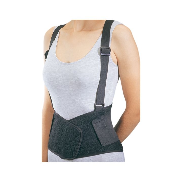 Industrial Back Support w/o Suspenders by Procare